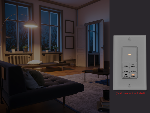 30 minute timer switch