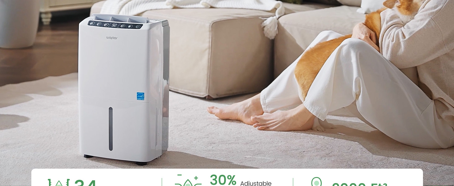 dehumidifiers for home