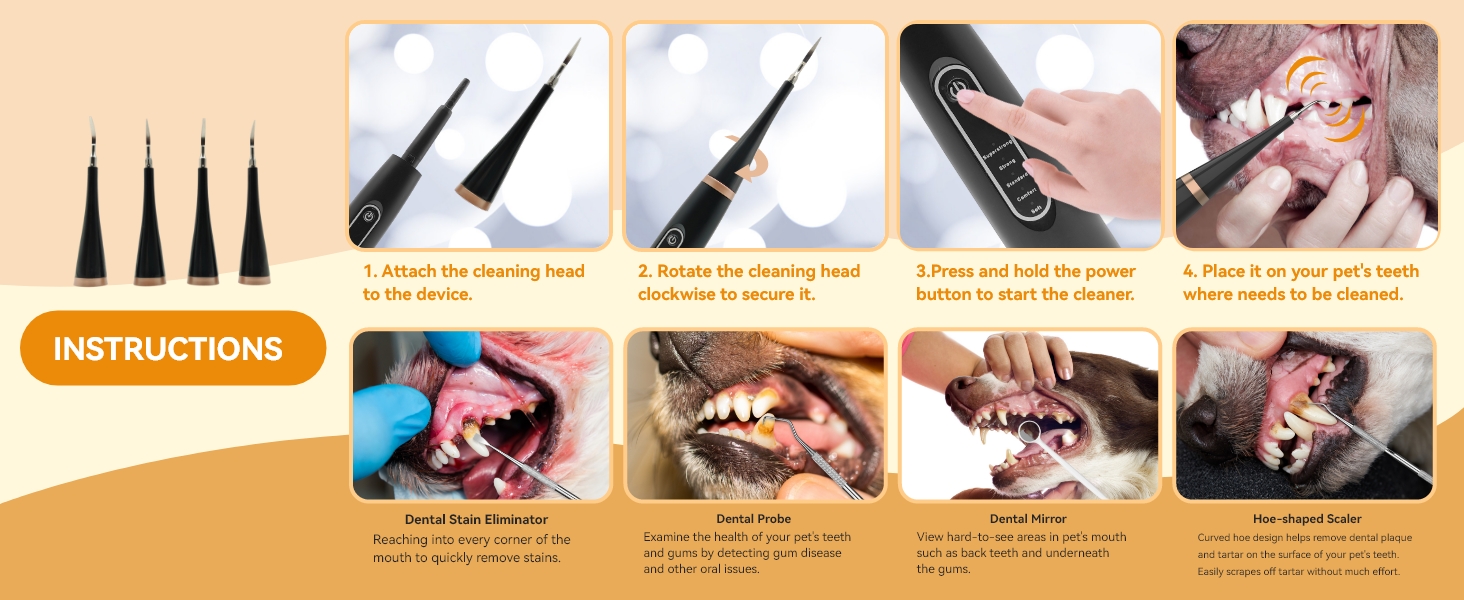 dog teeth cleaning kit