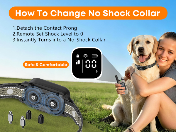 electric dog collar for training