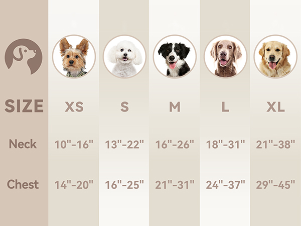 harness for dogs small