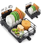 Expandable Dish Rack