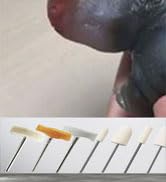 Wool Polishing Bits