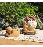 SPEALLOY Capybara Resin Succulent Planter Set of 2 - Mini Garden Decor with Drainage Holes (4.1"x...
