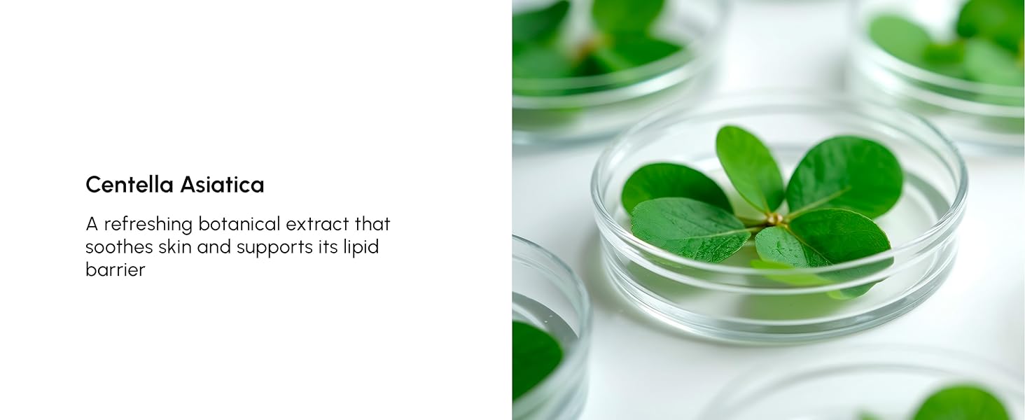 collagen toner pads