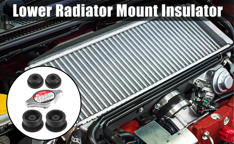 Standard Image Header With Text