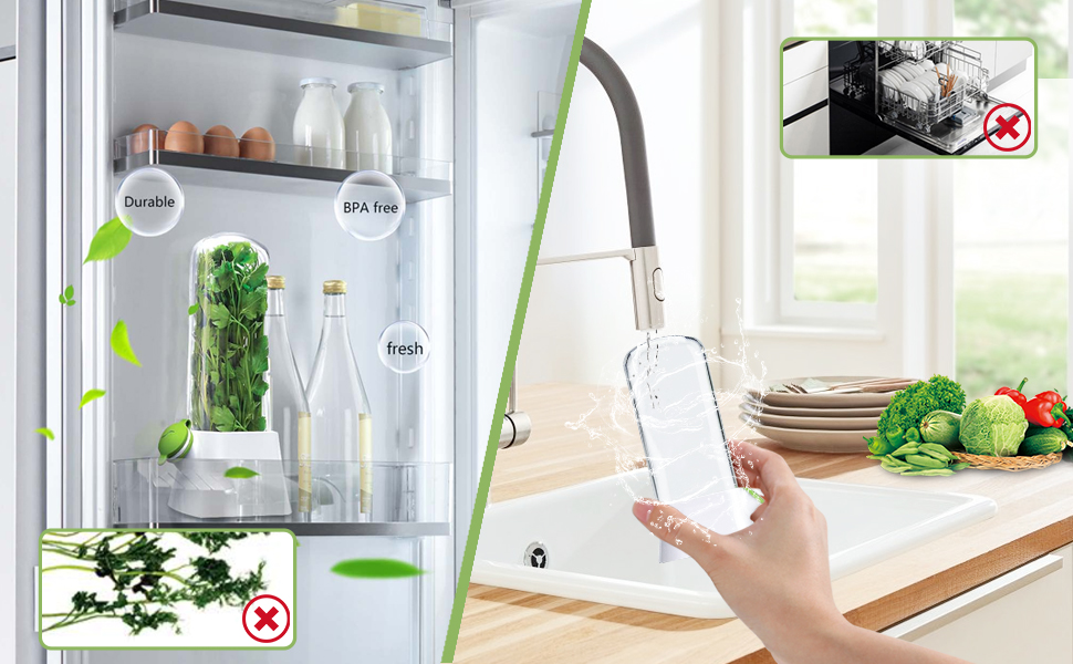 cilantro fresh fresh herb keeper for refrigerator