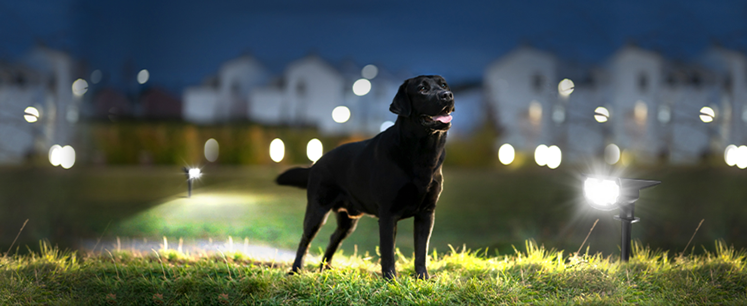 solar lights outdoor motion sensor