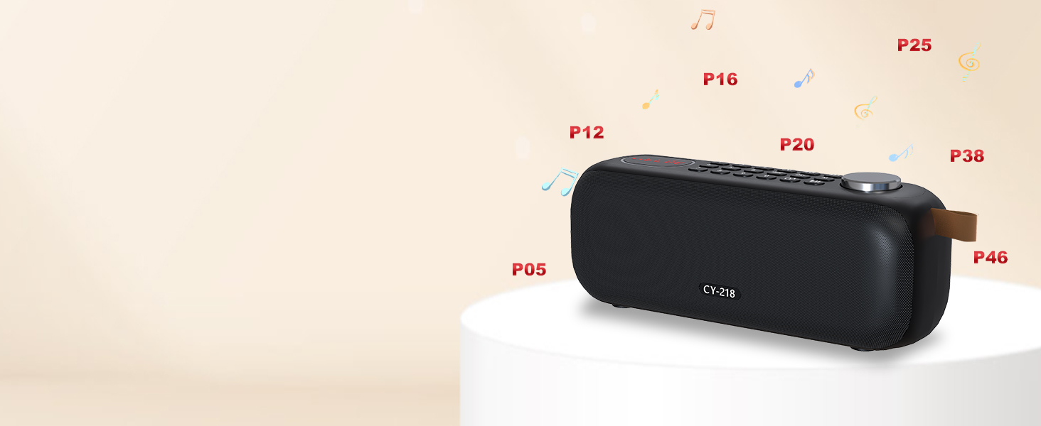 Bluetooth Speaker Radio