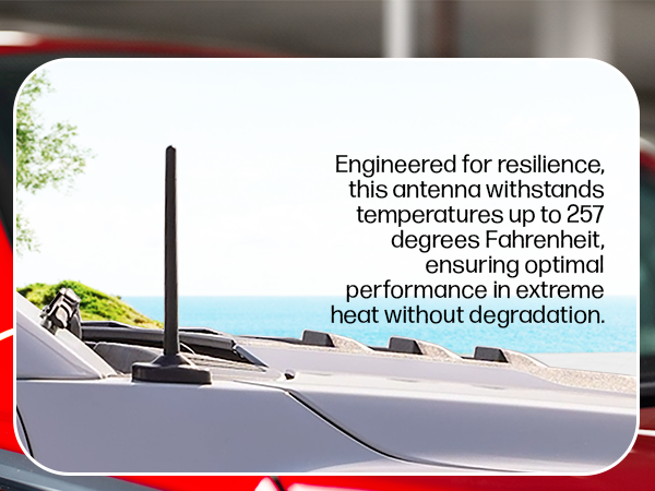 ranch old gold rocky booster battle vision midland condor corta automobile urban pop valve stem caps