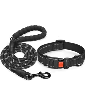 the [ unused0 ] and dog leash