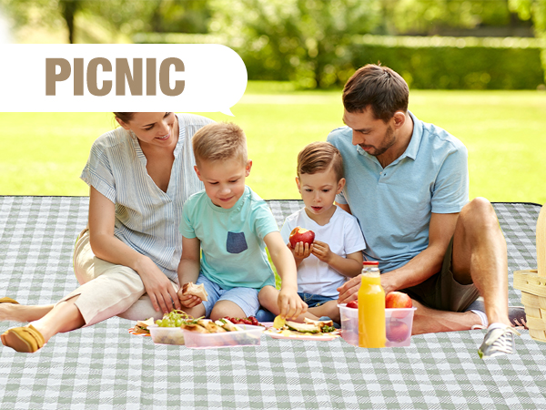 picnic