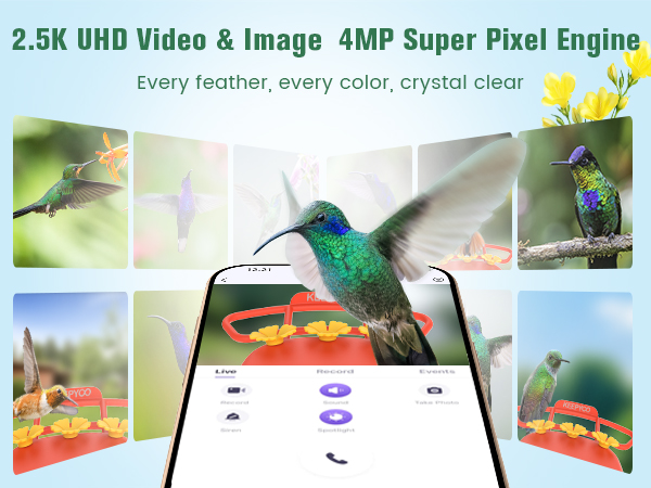 smart hummingbird feeder with camera