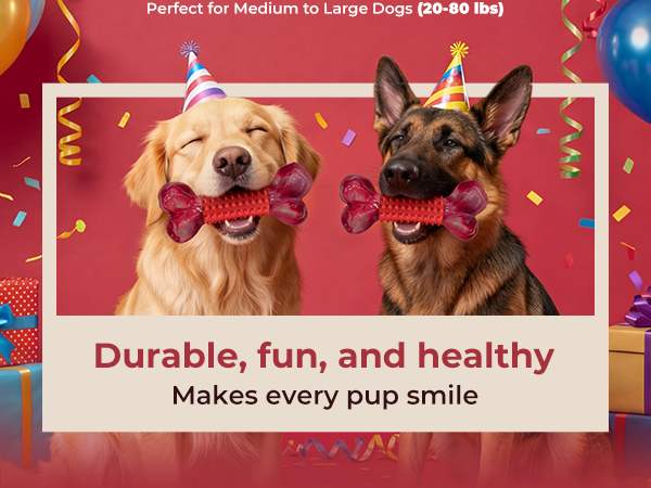 gift for dog