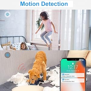 Motion Detection