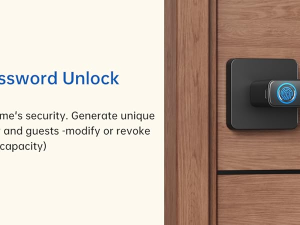 Password unlocking