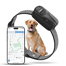 Pet tracking device series showing a black collar with GPS tracker, smartphone map interface, and a Labrador retriever wearing the device. Product shown from multiple angles.