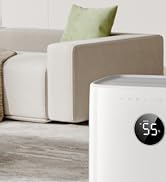 smart dehumidifier