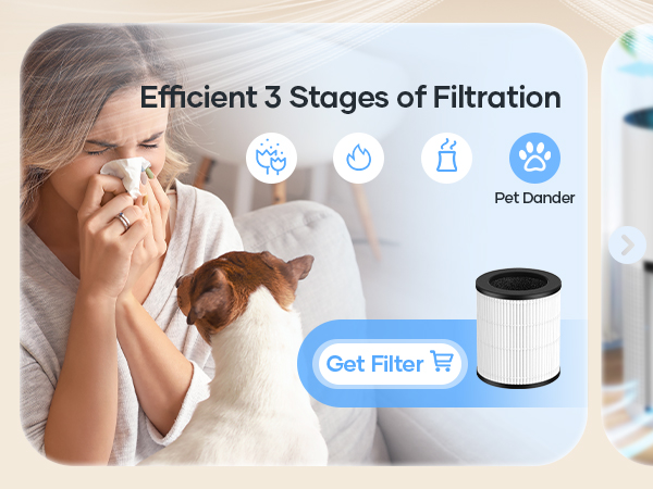 air purifier for home pets