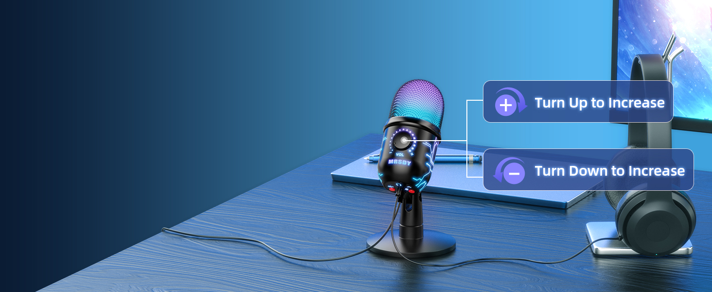 V5 condenser microphone