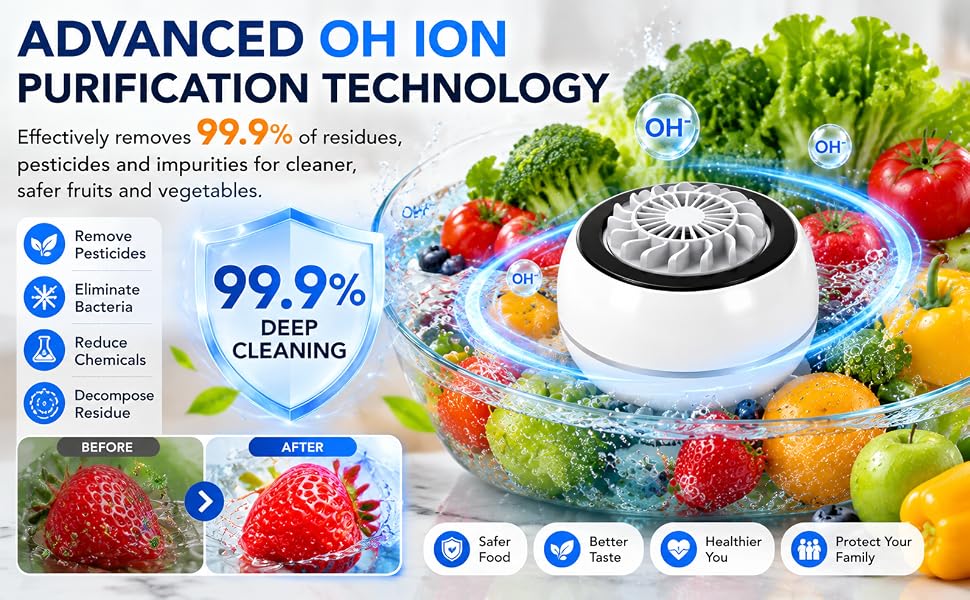 OH Ion Purification Technology