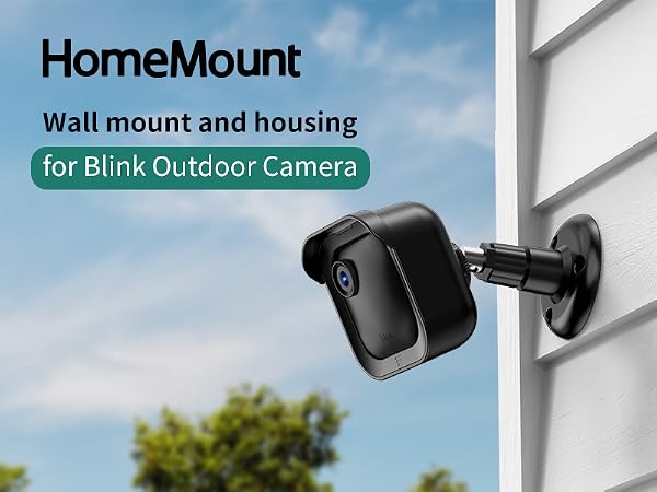 Wall mount and housing for blink outdoor camera