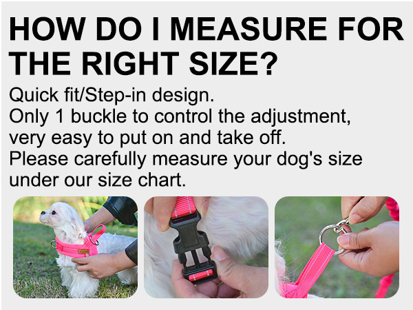 small dog harness