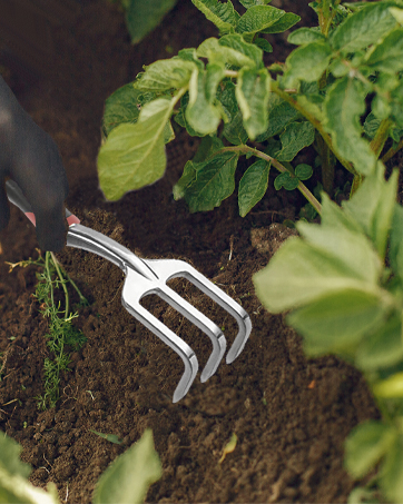 gardening tools
