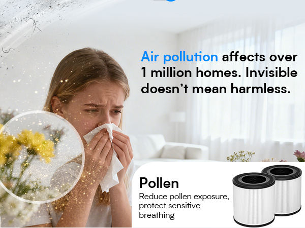 h14 air purifier filter