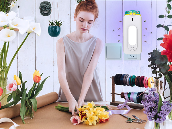 fly traps indoor for home