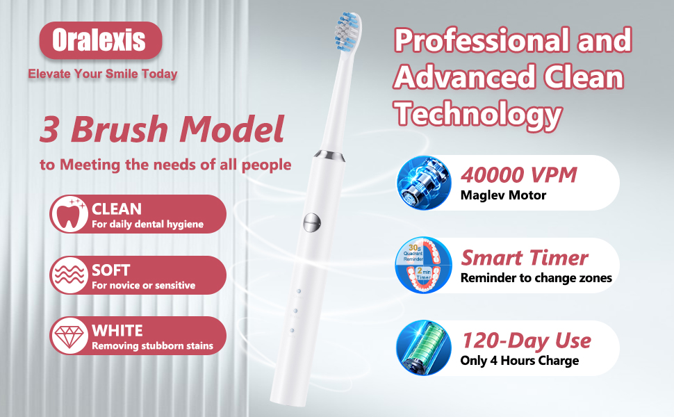 3 brush models meet all people