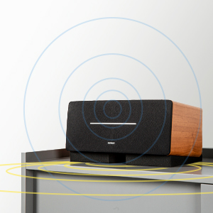 VENTRAY Home SS5 2 Pack Acoustic Isolation Pads