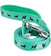 turquoise leash turquoise dog leash teal leash teal dog leash teal dog leash for medium dogs