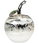 Weather Predictor- Storm Glass Weather Forecaster Weather Stations Glass Weather Forecast Bottle ...