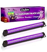 rechargeable black light