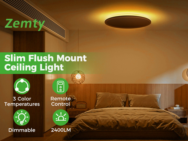 flush mount ceiling light