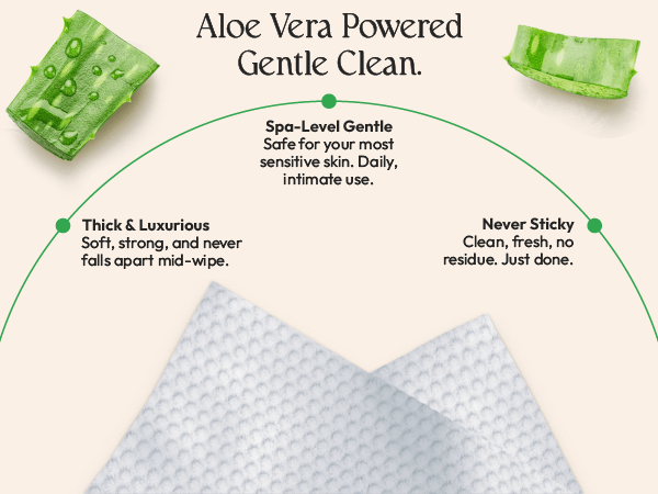 Feminine Mini Wipes New