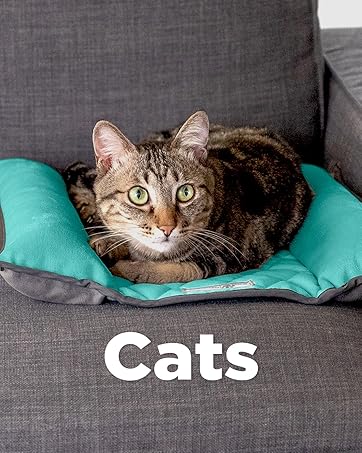 Cat Products