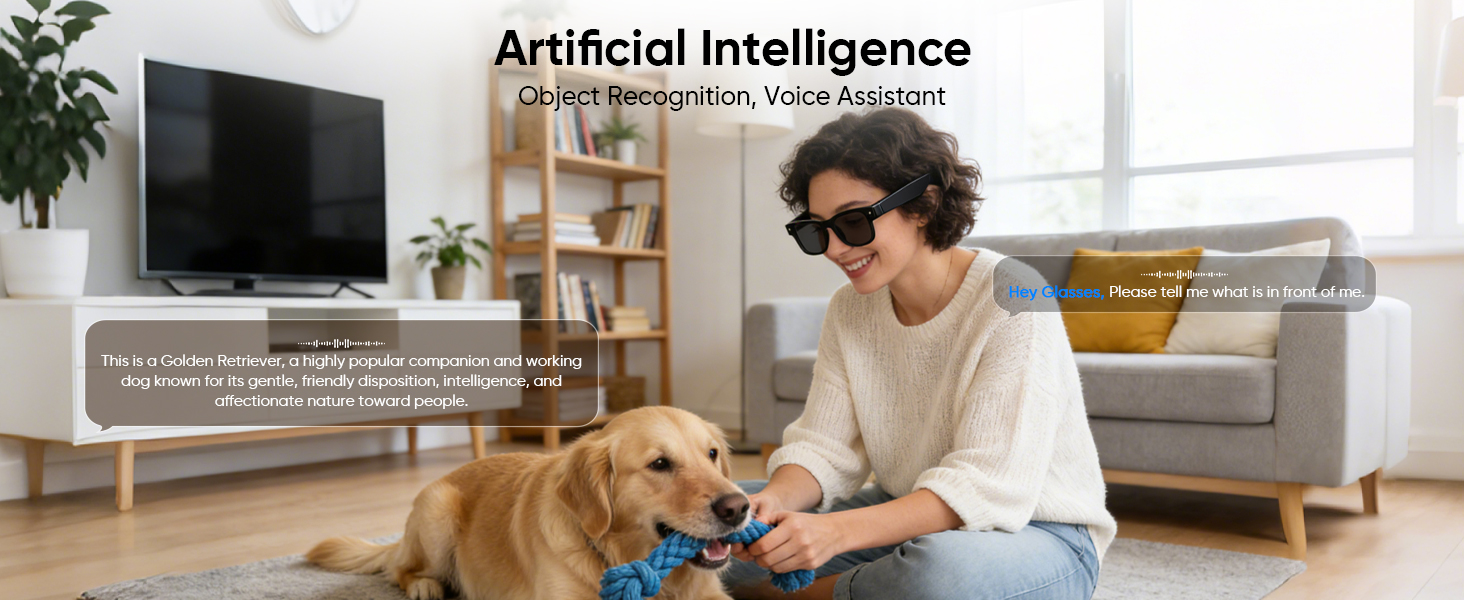 ai glasses