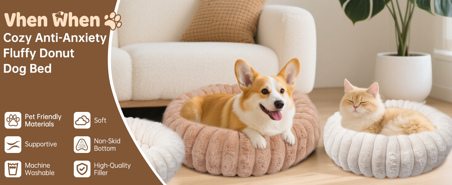 dog bed