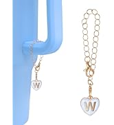 flewfun 1 Pcs Letter Charm Accessories for Stanley Tumbler Cup, Name ID Initial Letter Charm Pers...