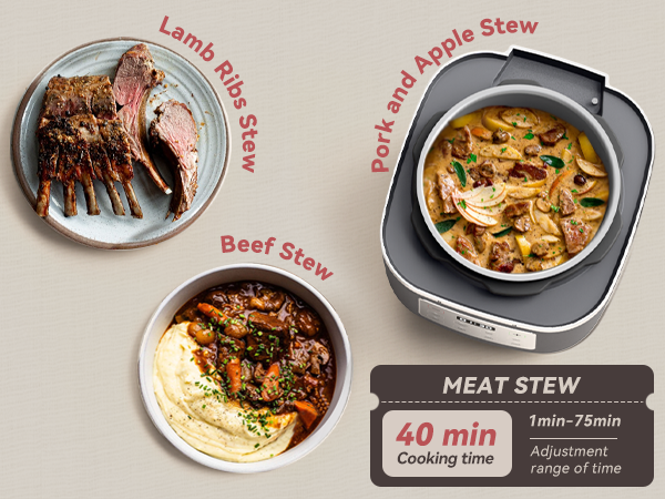 rice pressure cooker