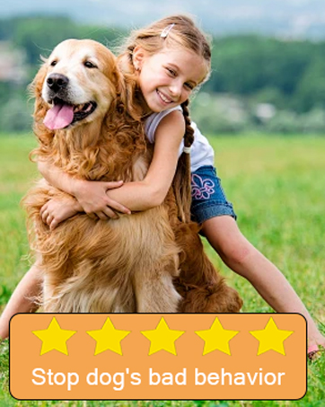 bark shield for dogs