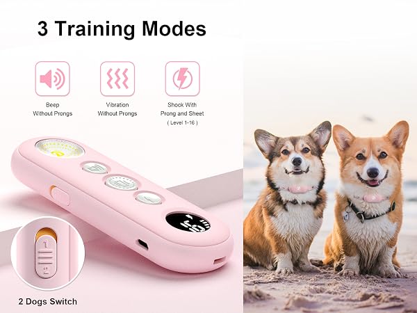 dog training collar