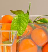 ClearSpace Soda Can Organizer &amp; Soda Can Dispenser for Refrigerator - Fridge Organizer &amp; Stackabl...