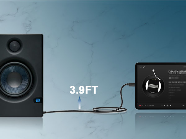 lightning to rca audio cable