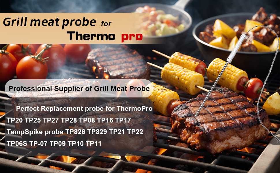 Thermopro tp20 probe