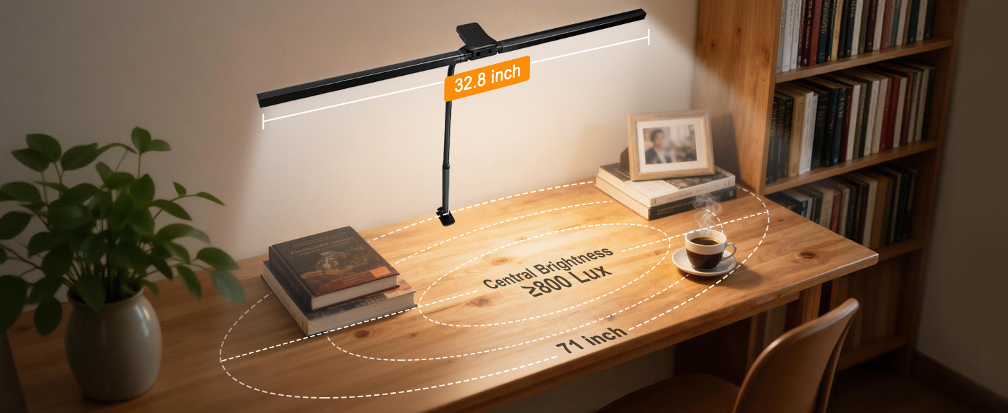 Desk Lamp with Clamp