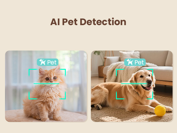 dog camera with phone app