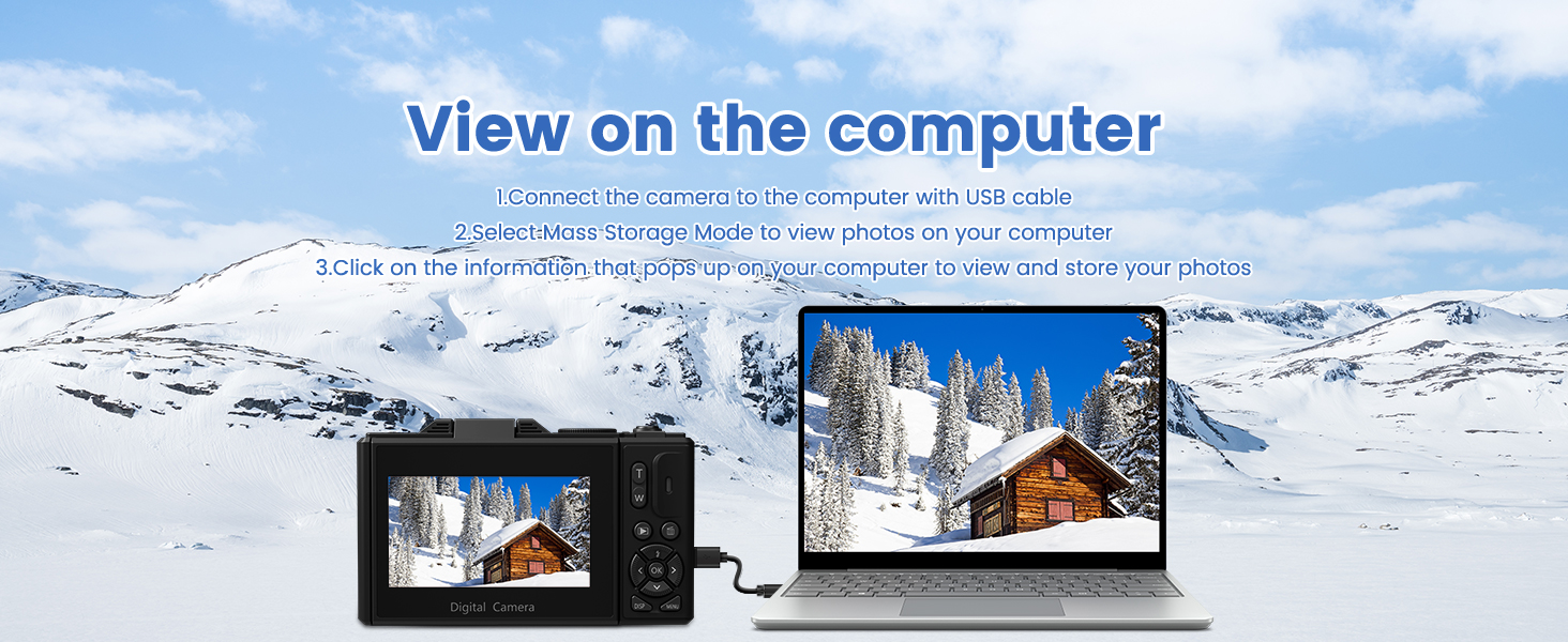 point and shoot digital cameras